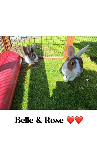 Belle & Rose (CA)